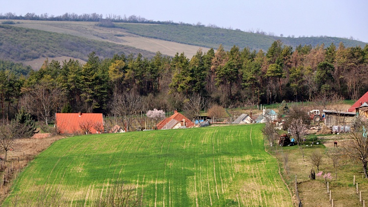 Mezőgazdasági terület a falu határában