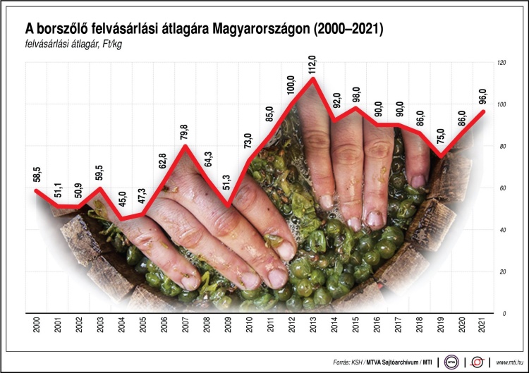 A szőlő felvásárlási árának alakulása, grafikon