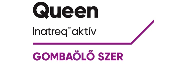 Queen banner