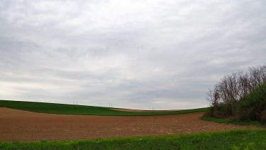 Mezőgazdasági táj