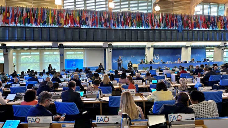 A FAO 43. plenáris ülése
