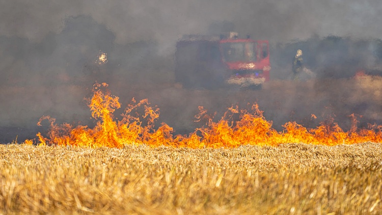 mezőgazdasági tűz