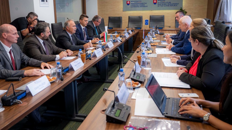 Miniszterek találkozója, Pozsony