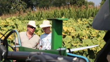 Apa és fia, előtérben mezőgép, háttérben napraforgó és kukorica