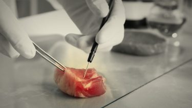 laboratóriumban előállított hús