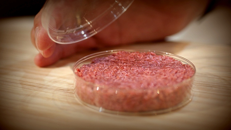 laboratóriumi mesterséges hús