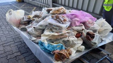 csempészett romlott hús brit határon