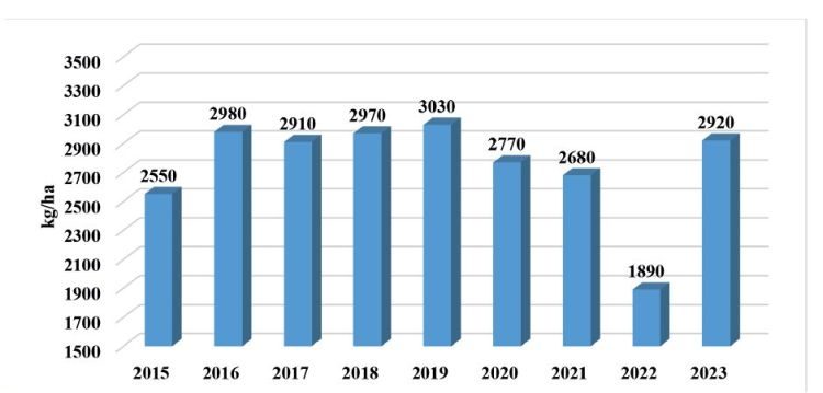 napraforgó termésátlagának alakulása 2015–2023 között