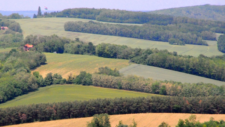 szántó erdő