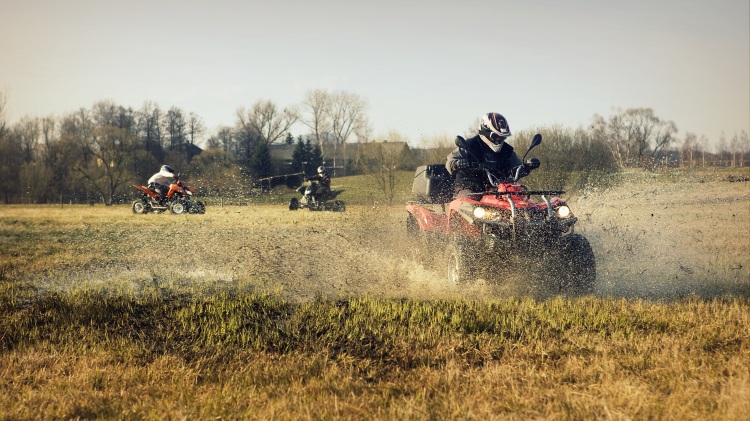 quadok driftelnek lápos legelőn