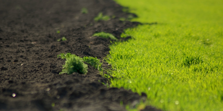 Új fejlesztésű prebiotikum a BIOFIL-tól