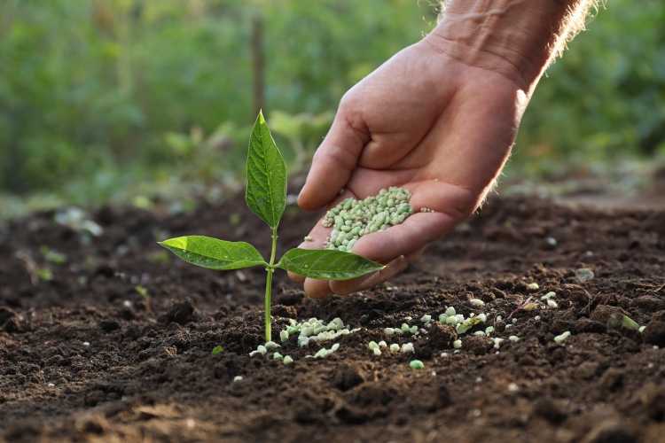 Veszélyben az EU agráriuma: műtrágyahiány fenyeget?