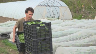 Dr. Szilágyi Alfréd ökológiai gazdálkodási mérnök