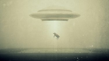 tehén UFO