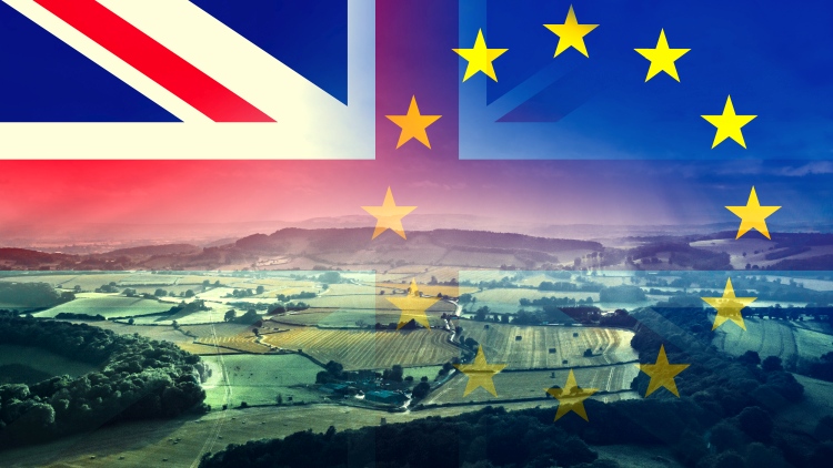 EU: jó hír a Brexit-pótló agrárkereskedelmi megállapodás