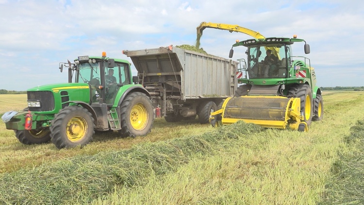 Kiváló minőségű tej természetes takarmányból Pusztaszabolcson
