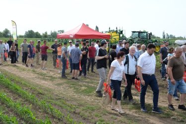 fmc agro szántóföldi bemutató