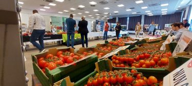 hajtatott paradicsom konferencia expo Szeged