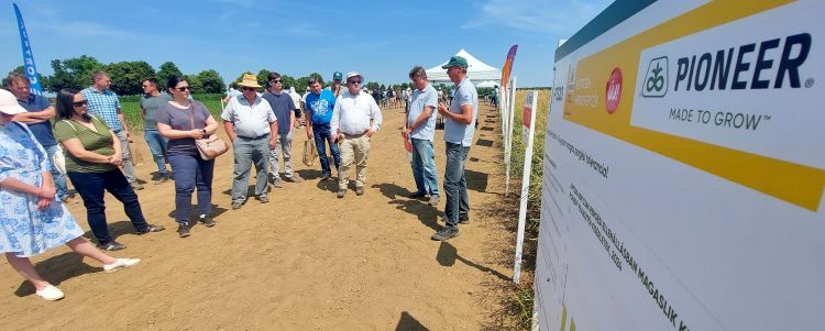 Corteva őszi portfólió: innováció, fenntarthatóság, jövedelem