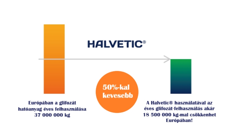 Halvetic