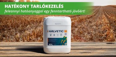 Halvetic