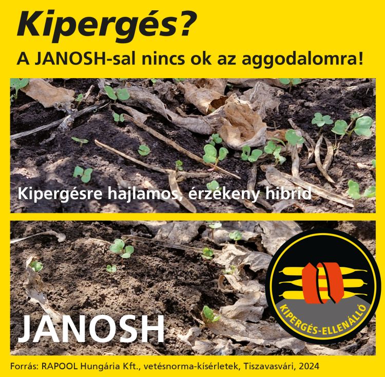 JANOSH repce fajta