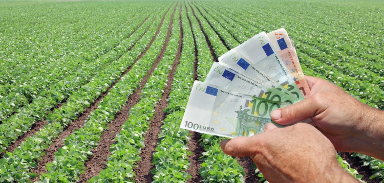 A hanyatló nemzetgazdaságban kivétel az agrárium