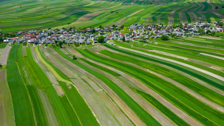 Maguknak köszönhetik, hogy agrár-nagyhatalommá váltak