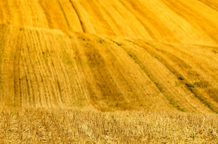 A földnek ára, a termőtalajnak értéke van