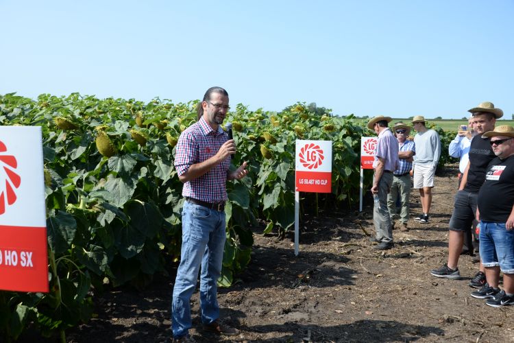 Dr. Szűcs Péter, a Limagrain Hungária Kft. fejlesztési vezetője