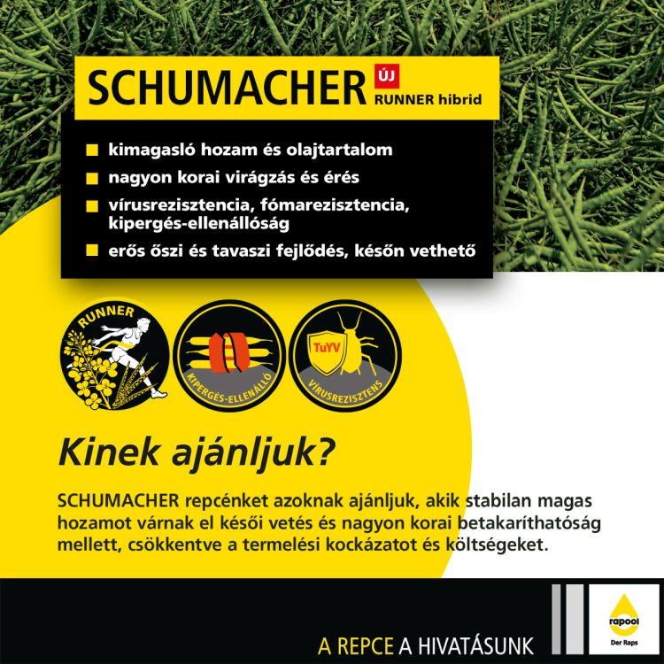 SCHUMACHER repce hibrid