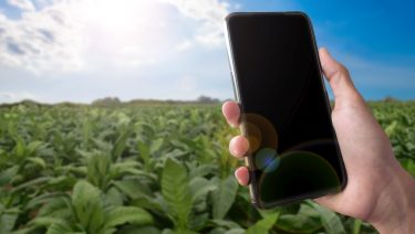 mobiltelefon átutalás szántóföld
