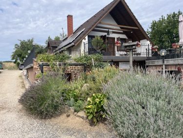 Borbély Családi Pincészet