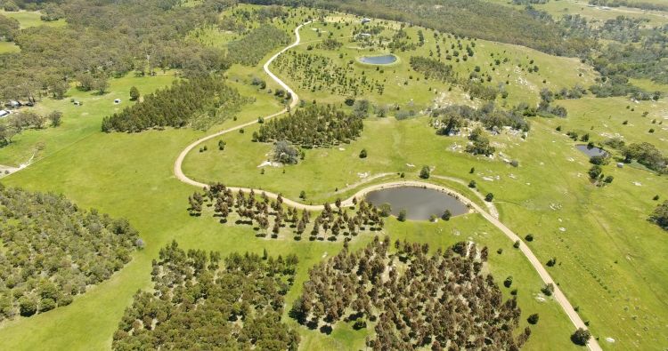 Nullavale