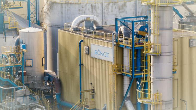 Bunge üzem