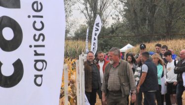 Corteva Szarvas Portfólió Farm