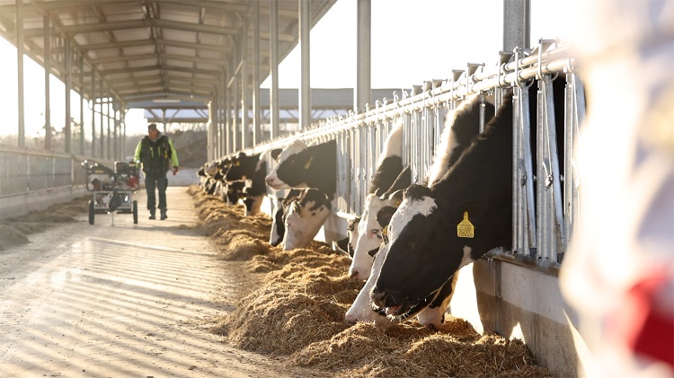 Ahol minden részlet számít – agrárberuházás biztos kézben