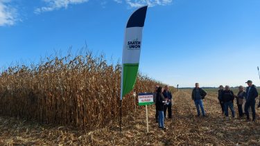 SAATEN-UNION kukorica