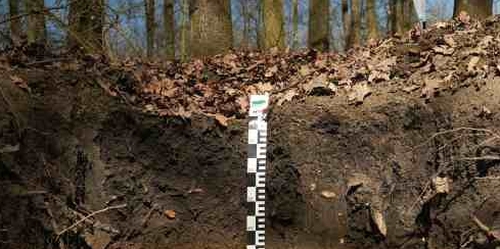 A Világ Év Talaja 2025