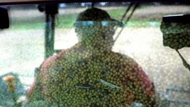 szója kombájn farmer