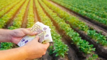 pénz euró szántóföld