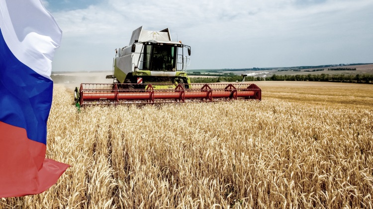 Kína rákap az olcsó orosz tömegárura, például a csirkelábra