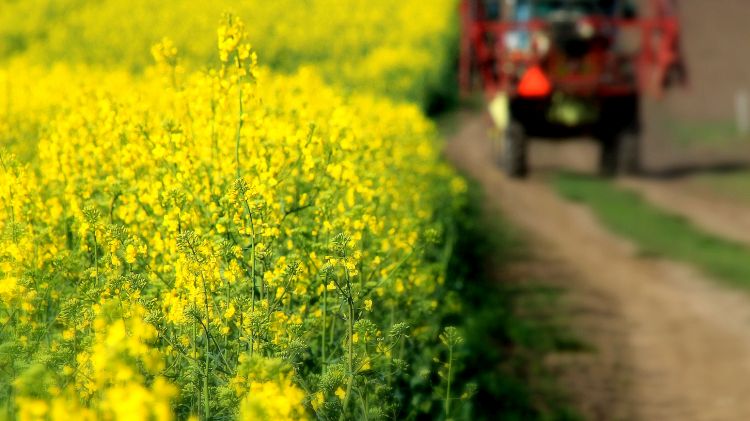 Jogvesztő határidő jön a kárenyhítésnél, így igényeljen!