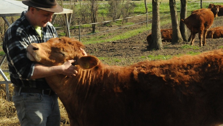 További milliárdokat költenek állatjólétre, tenyésztésre