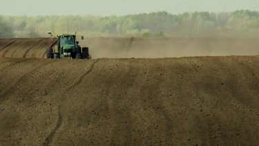 száraz termőtalaj vetés