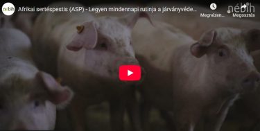 Nébih ASP kampány videó