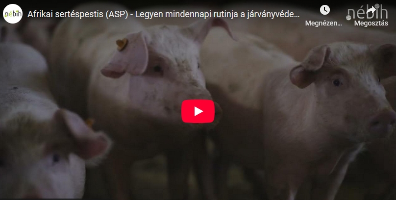 Védekezni csak együtt lehet