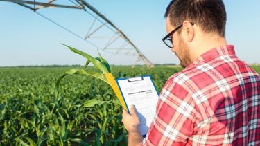 adminisztráció gazda öntözőrendszer