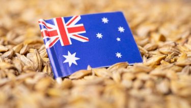 rekord gabonatermés Ausztráliában