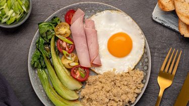 élelmiszer fehérje tápanyag